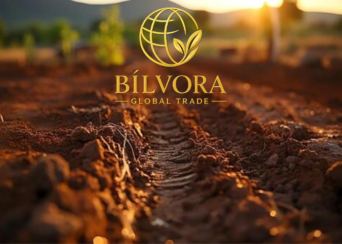 Bilvora Global Trade - Sourcing from India's Finest Farms