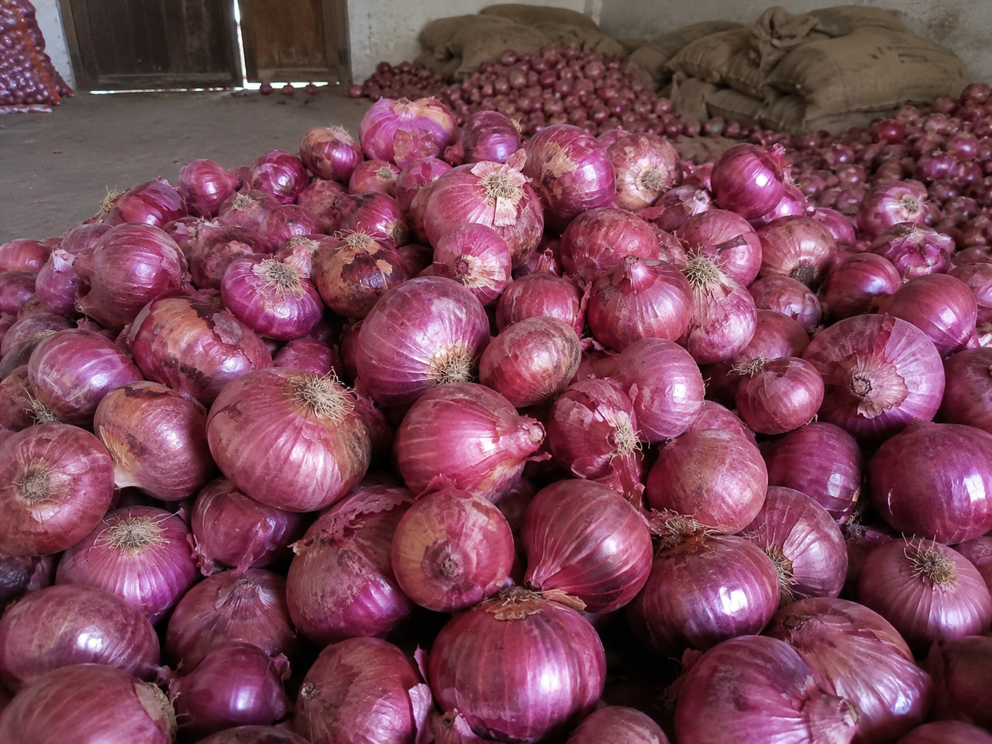 Fresh Onion Export India