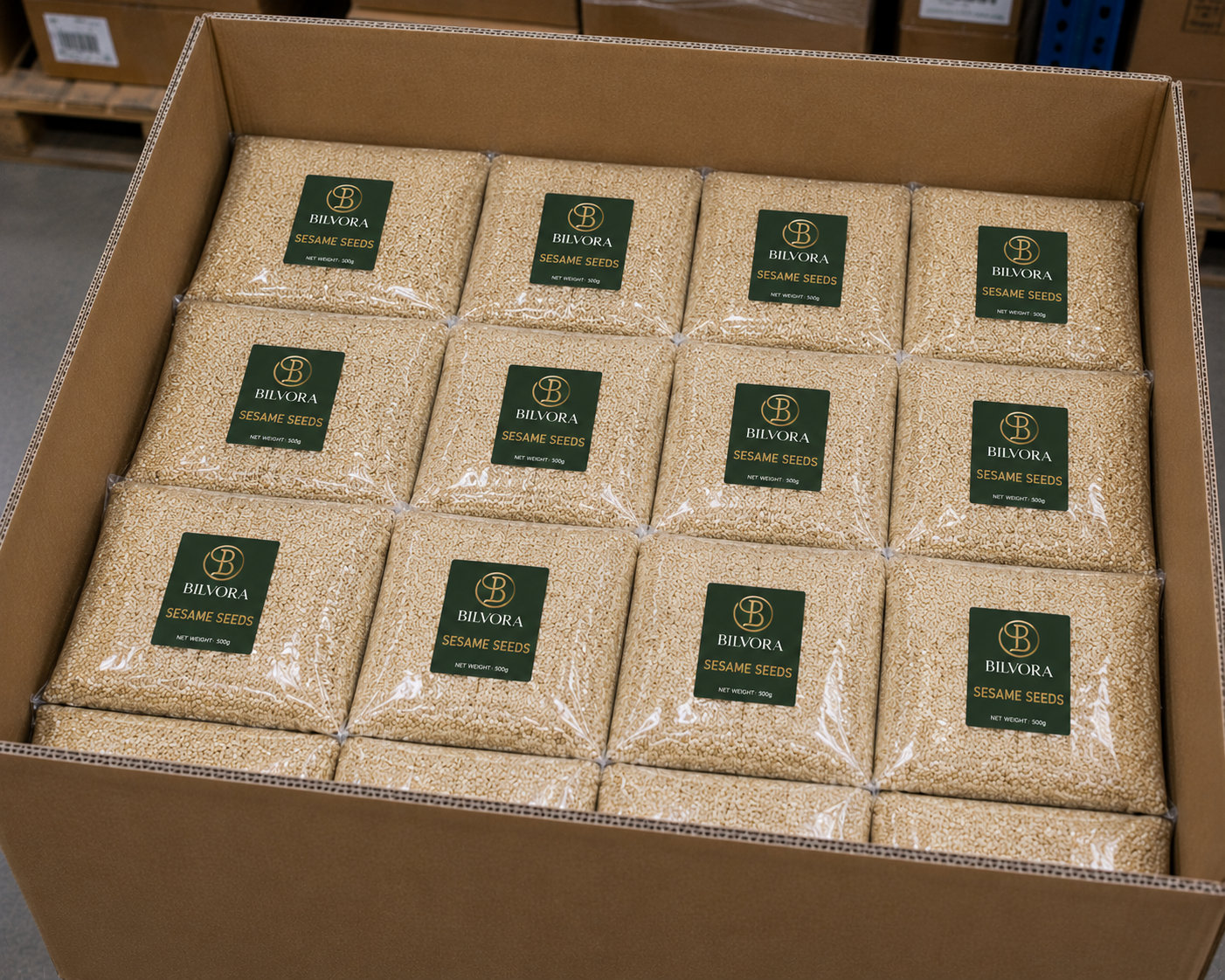 Sesame Seeds Export India